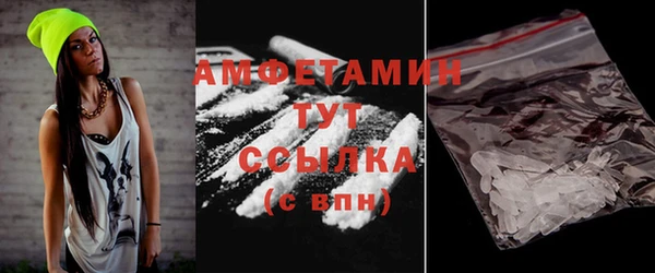 ГАЛЛЮЦИНОГЕННЫЕ ГРИБЫ Тайга