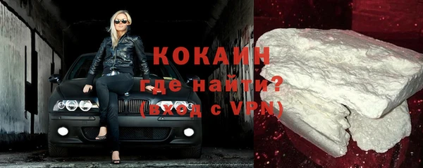 ГАЛЛЮЦИНОГЕННЫЕ ГРИБЫ Тайга