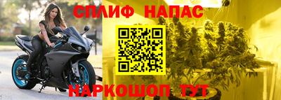 сатива Коммунар