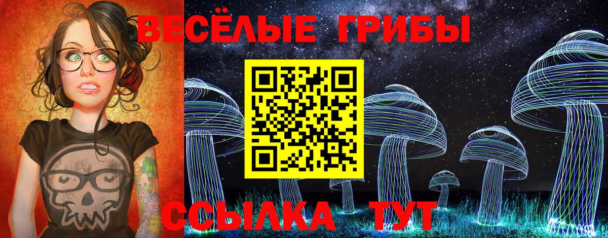 Псилоцибиновые грибы GOLDEN TEACHER Буйнакск
