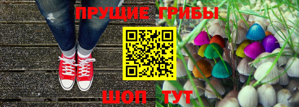 Псилоцибиновые грибы Psilocybe  Вход с VPN  Буйнакск  Галлюциногенные грибы мицелий 